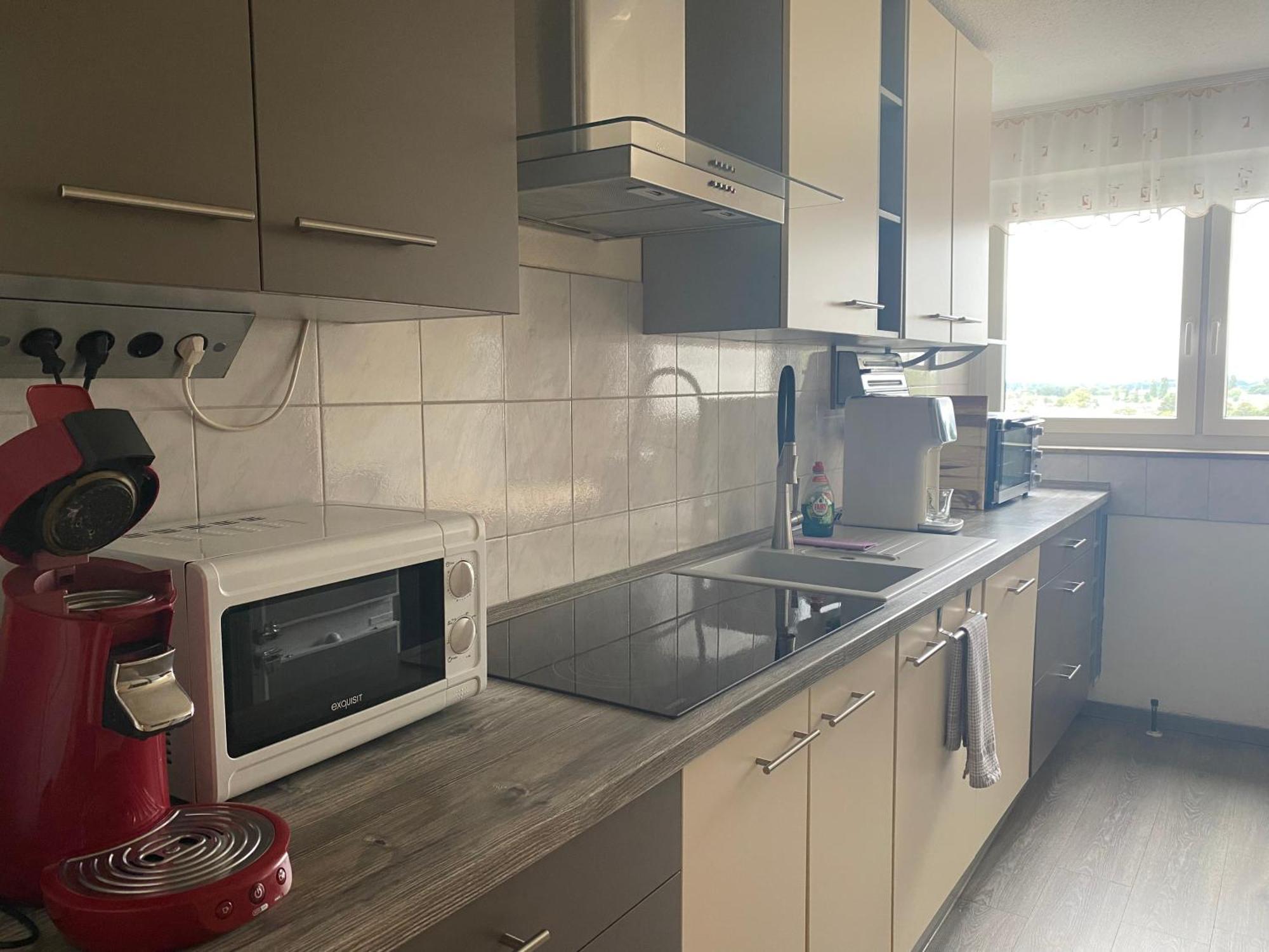 Idyllische Aussicht Apartment Emmendingen Ngoại thất bức ảnh
